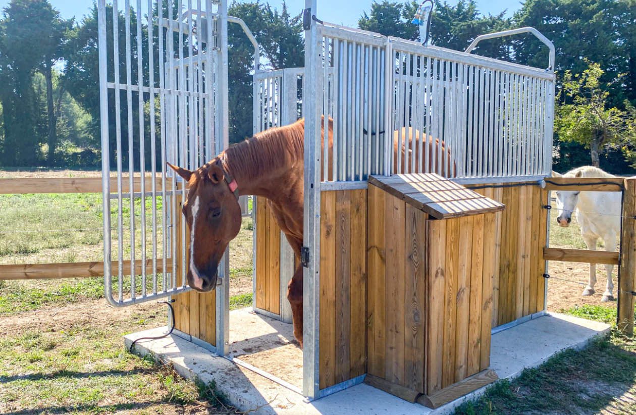 Gestion des accès aux zones de fourrages pour chevaux grâce à des portes sélectives en écurie active