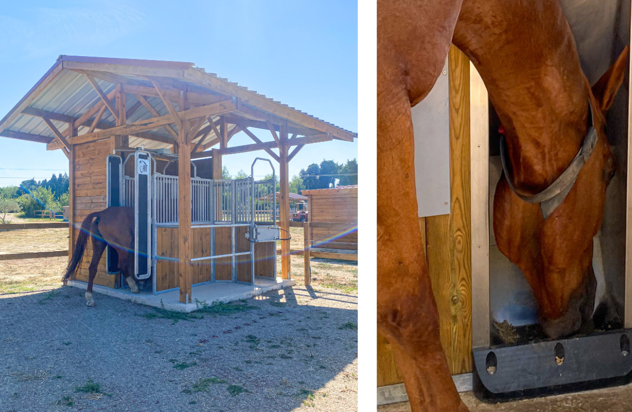 Distributeur de concentré permettant une alimentation personnalisée pour chaque cheval