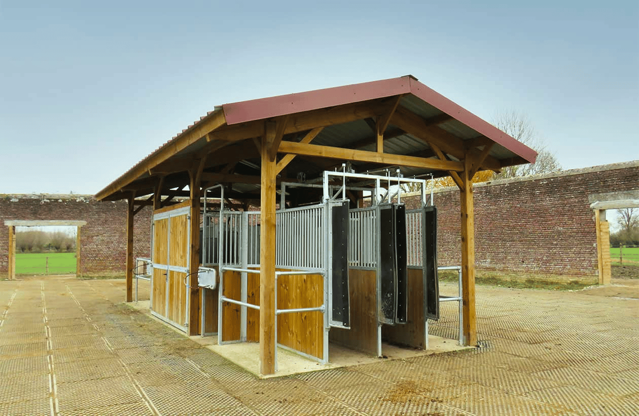 Distributeur automatisé de fourrage pour l'alimentation de chevaux en écurie active