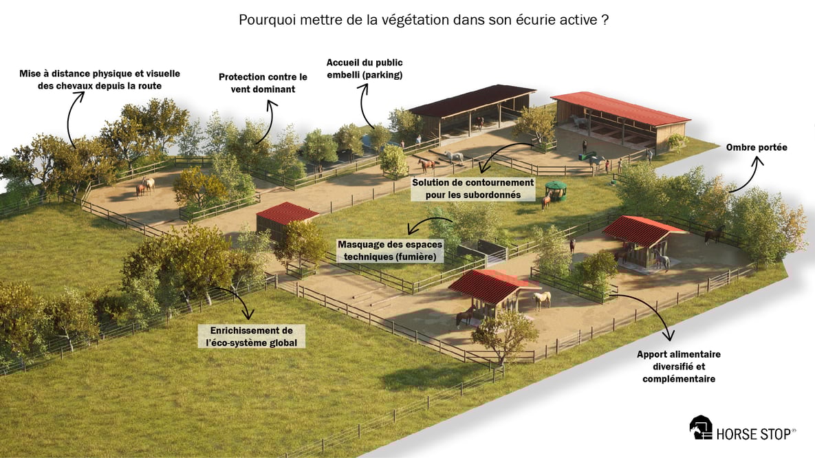 Bienêtre et végétation en écurie active