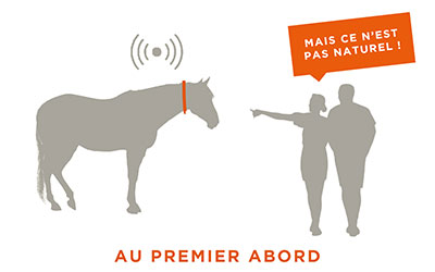 AU-premier-abord