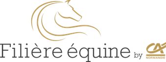 banque-ecrurie-active-2 7 arguments pour convaincre votre banquier