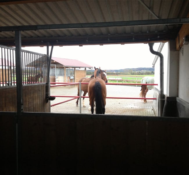 convaincre-proprietaires-ea-2021 Convaincre les propriétaires de mettre leur cheval en pension dans votre écurie active