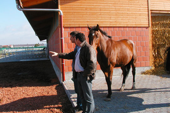 Visite-decouverte-sur-site